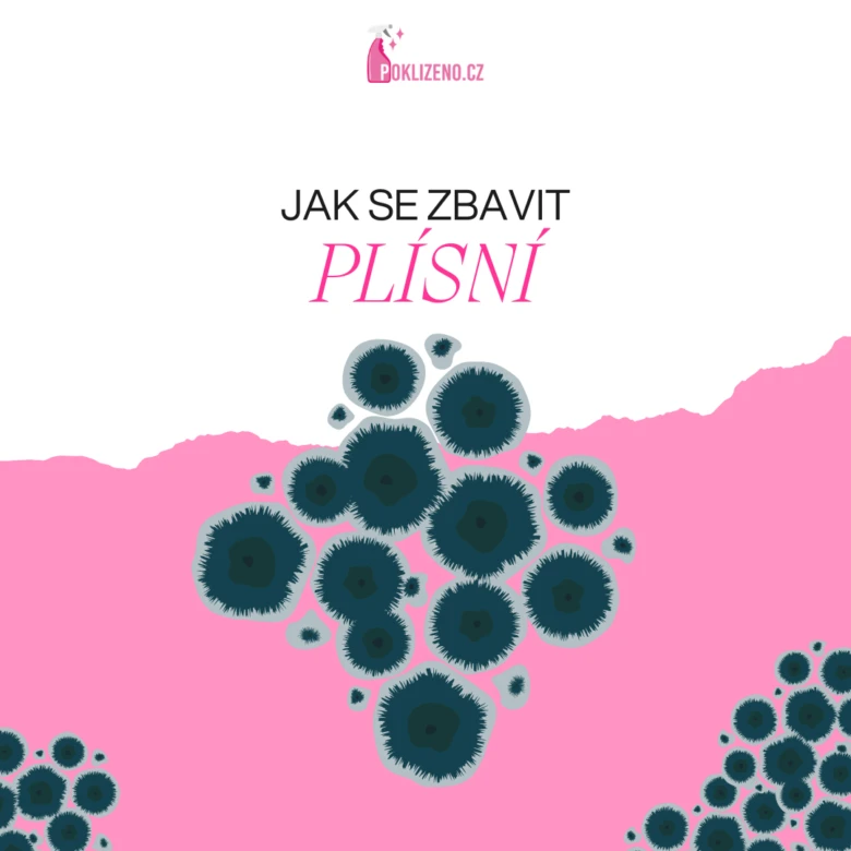 Jak se zbavit plísně - grafika s názvem v češtině.