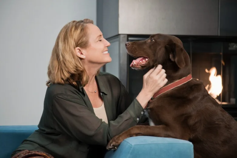 Žena hladí svého štěstlivého hnědého labradora.