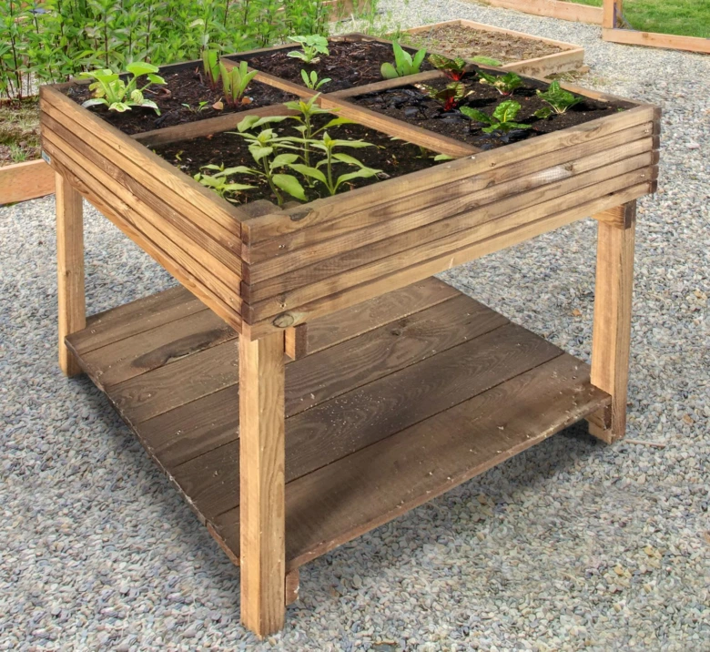 Raised garden bed with plants