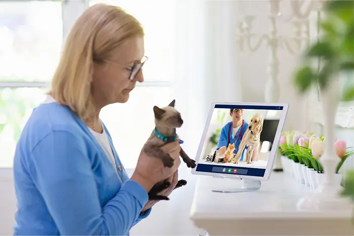 Veterinář konzultuje s majitelem psa online přes tablet.