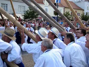 Muži v tradičním oděvu zvedají májku na náměstí