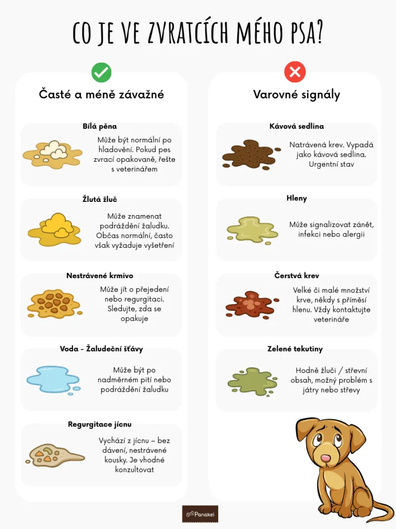 Infografika: Co je ve zvratcích mého psa? Žlutá pěna a další typy zvracení