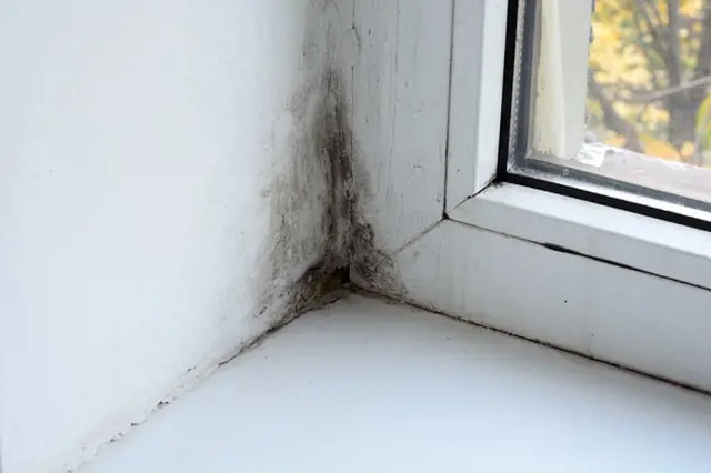 Černá plíseň v rohu u okna, kterou lze odstranit octem.