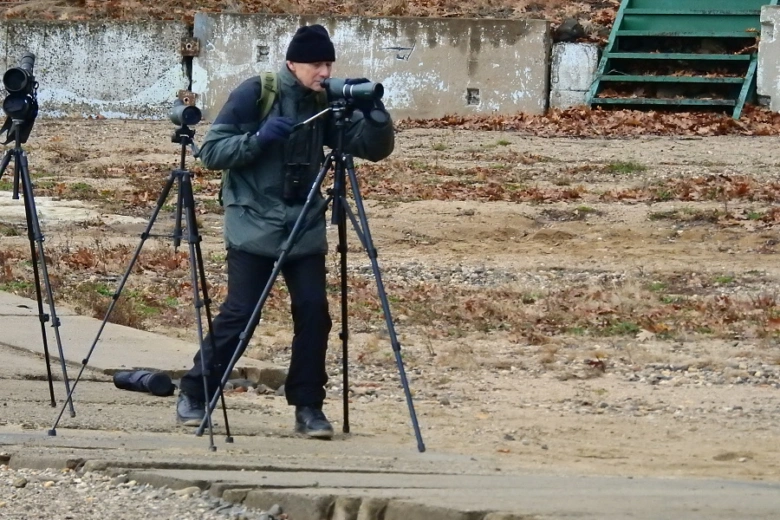 Člověk pozoruje ptáky dalekohledy na stativu venku.