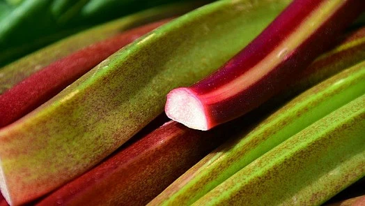 Zelené a červené řapíky rebarboru v detailu