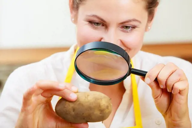 Žena zkoumá bramboru lupou v laboratoři.