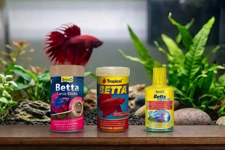 Produkty pro bettu v akváriu s rostlinami