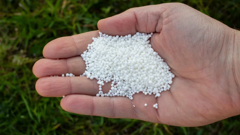 Bílá granulovaná hnojiva v ruce na pozadí trávy.