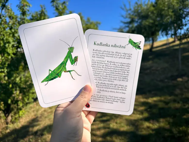Karta s obrázkem kudlanky nábožné v zahradě