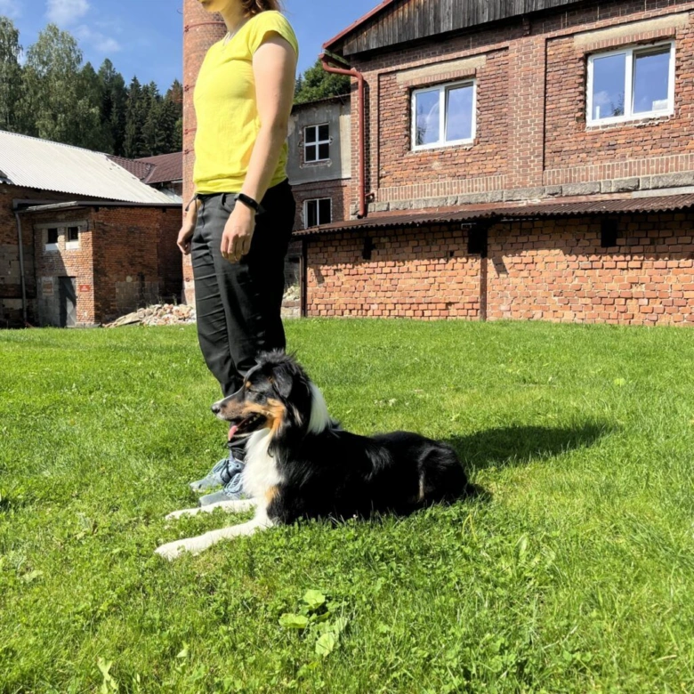 Pes v poloze 'lehn' vedle svého majitele na trávníku.