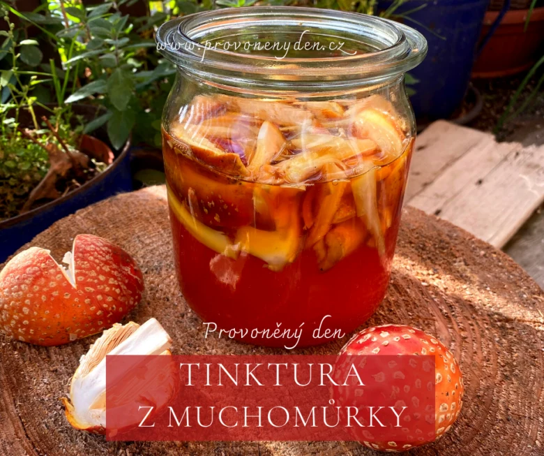 Sklenice s tinkturou z červené muchomůrky na dřevě.