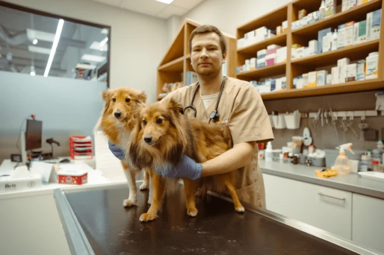 Veterinář s dvěma psy v ordinaci