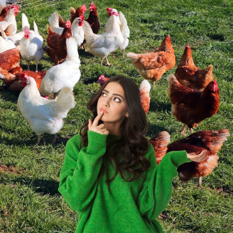 Žena mezi různými druhy slepic na trávníku.