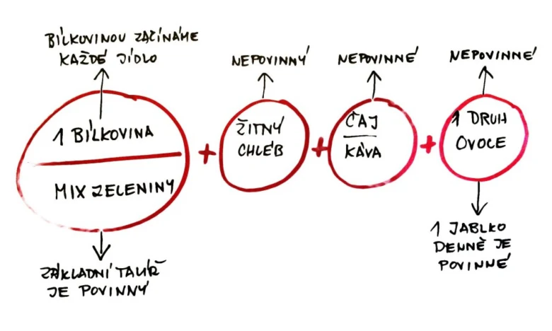 Schéma denního jídelníčku s bílkovinami a zeleninou pro hubnutí.