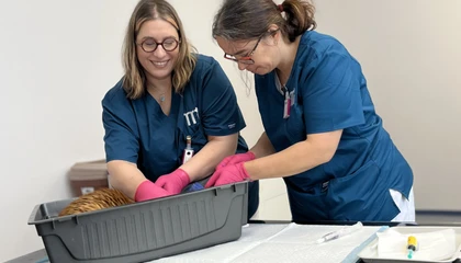 Veterinářky vyšetřují zvíře v klinice