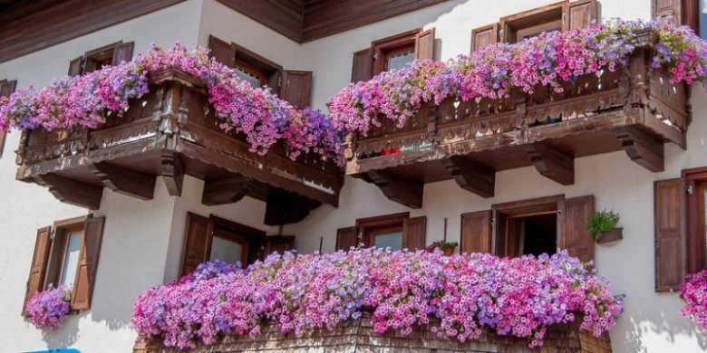 Flowering balconies with petunias