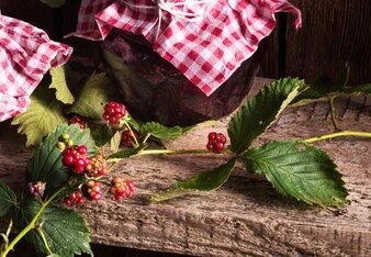 Nakládaná zelenina bez zavařování s ovocem a listy