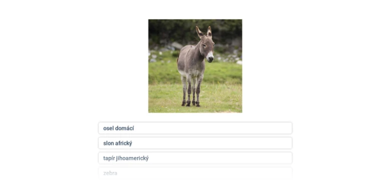 Domácí osel stojí na trávníku v přírodě.