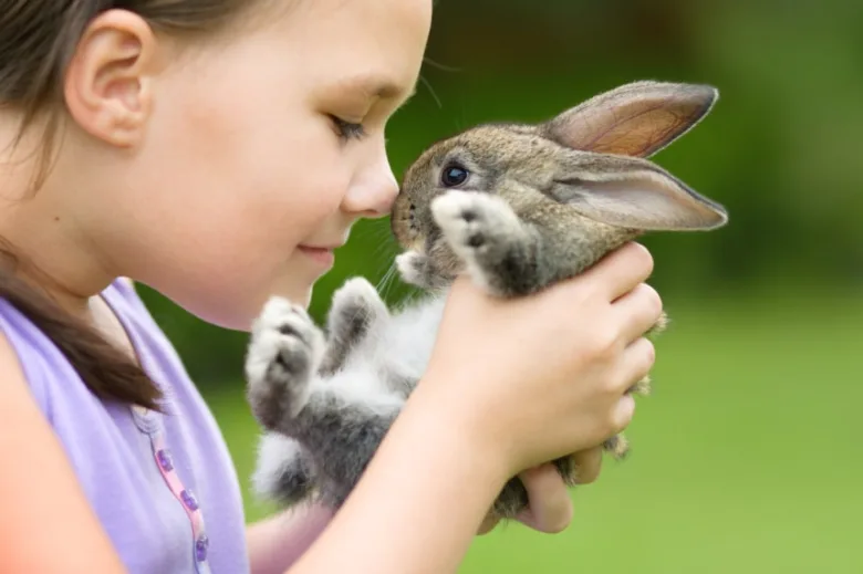 Dívka drží malého králíčka v náručí venku.