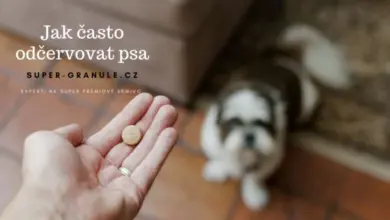 Ruka drží odčervovací tabletku pro psy s štěnětem v pozadí.