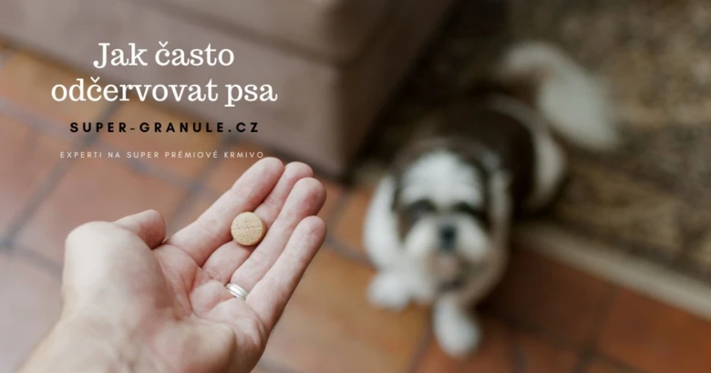 Ruka drží odčervovací tabletku pro psy s štěnětem v pozadí.
