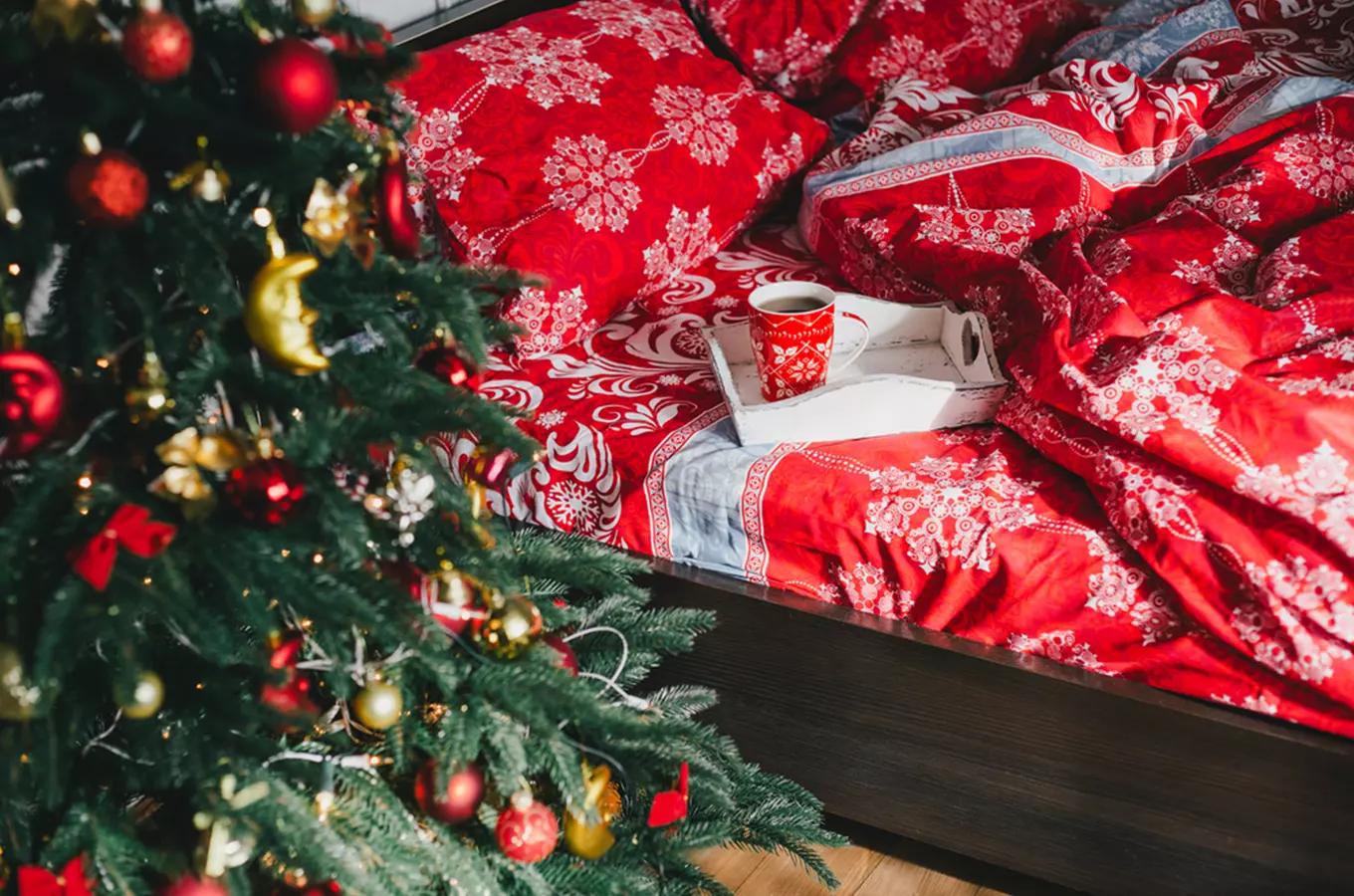 Christmas morning in bed