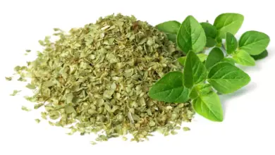 Suchá i čerstvá dobromysl nebo oregano na bílém pozadí.