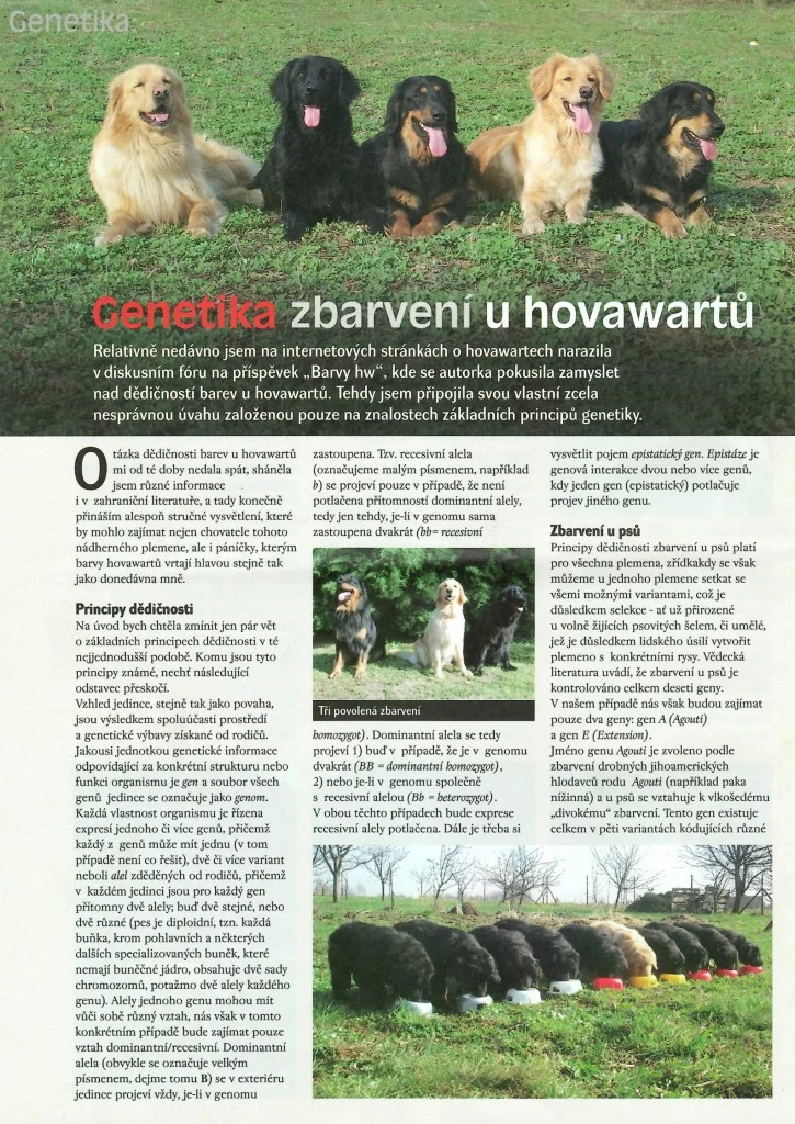 Skupina hovavrtů sedících na trávníku.