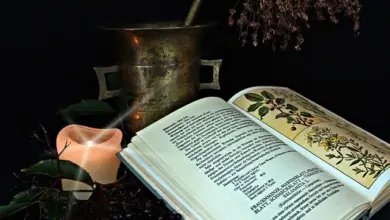 Otevřená kniha s rostlinami a svíčkou na tmavém pozadí.
