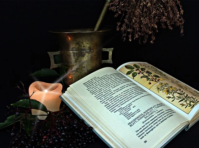 Otevřená kniha s rostlinami a svíčkou na tmavém pozadí.