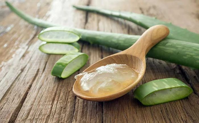 Čerstvý gel z aloe v dřevěné lžičce s řezanými listy rostliny.
